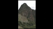 Avistan a dos osos de antejojos en las ruinas del Machu Pichu