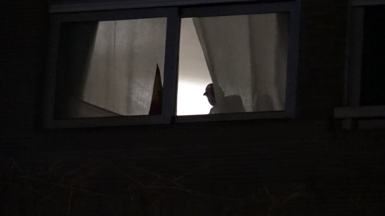 Victoria Federica y Froilán juegan a ser espías tras una cortina