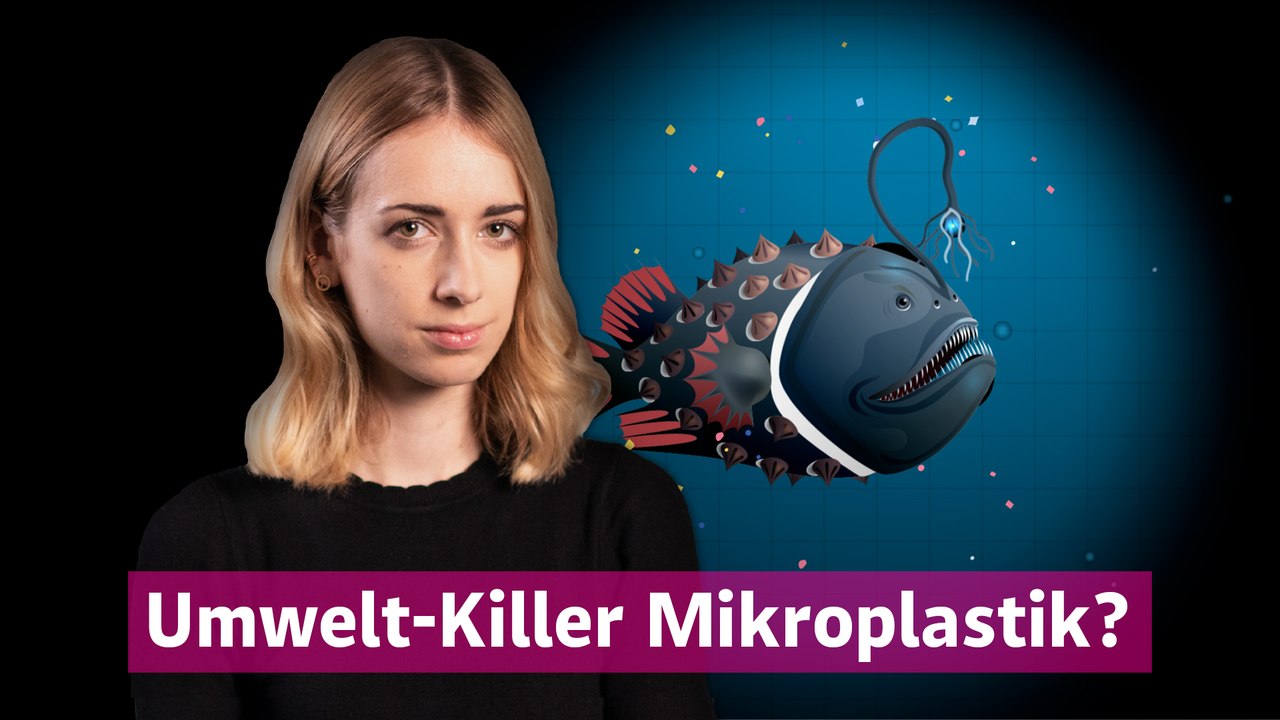 Mikroplastik: So schadet es Mensch und Umwelt