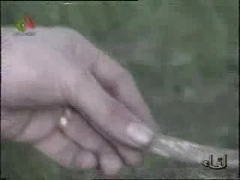 Nasro  Ya mra