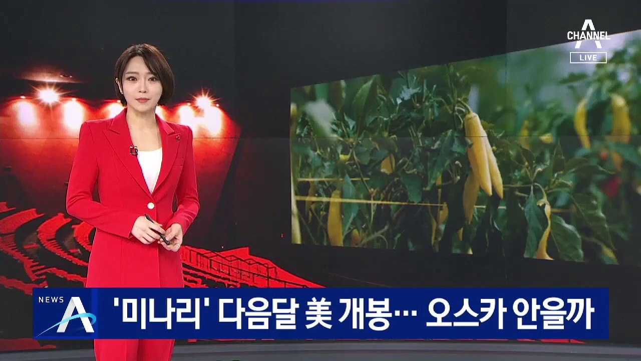 ‘미나리’ 2월 美 개봉…한국 배우 사상 첫 오스카 안을까