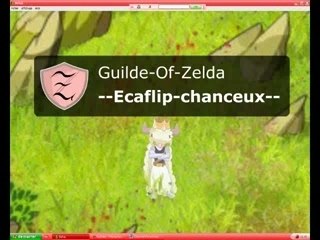 Guilde of zelda