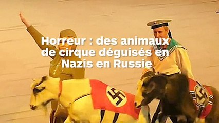 Un cirque déguise ses animaux dans des costumes de SS