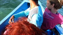 Balseros Cubanos filman su propia llegada a los cayos de la florida 21 personas