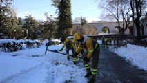 Brigadas Forestales trabajan en Madrid tras las nevadas