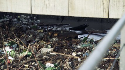 Болгария: мусорный затор с футбольное поле