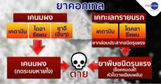 ข่าวค่ำ ช่วงที่ 3 วันศุกร์ 15 มกราคม 2564