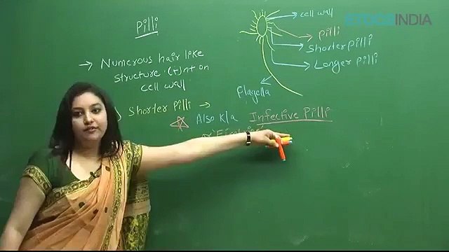 Biological Clasification by sb mam_2 Biological classification sb mam part 5