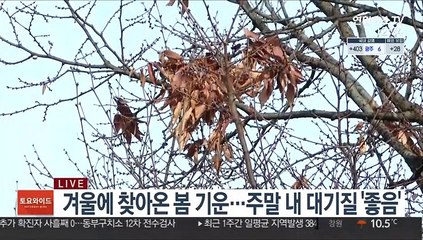 [날씨] 포근한 주말…남부 곳곳 비·강원 영동 많은 눈
