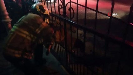 Kapı korkuluklarından geçemedi, itfaiye kurtardı