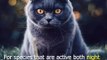 Top 7 facts about cats | 2020 | Amazing Facts
