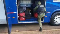 Vídeo mostra momento em que cão farejador encontra drogas escondidas na mala de passageiro