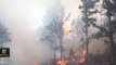 tn7-Este-viernes-inicia-la-temporada-de-incendios-forestales-2021,-según-SINAC-150121