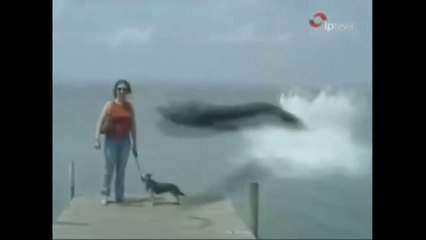 5 SEA SERPENT CAUGHT ON CAMERA.|| Wow  amzing vedio.