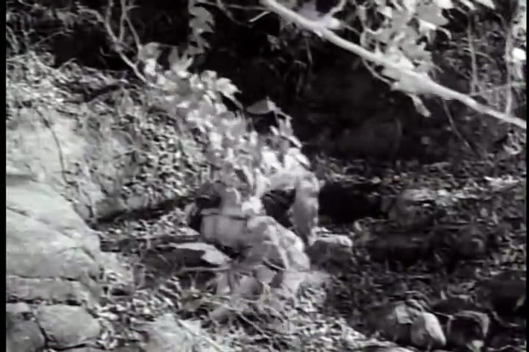 피아골(1955) / Piagol (Pi-agol) part 2/2