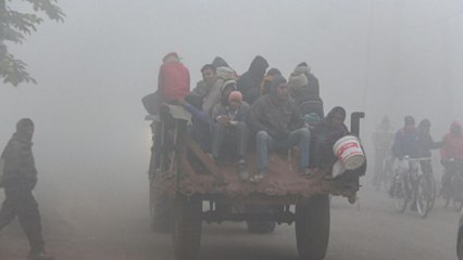 Fog plays havoc in NCR, visibility reduced to zero