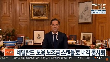 네덜란드 '보육 보조금 스캔들'로 내각 총사퇴