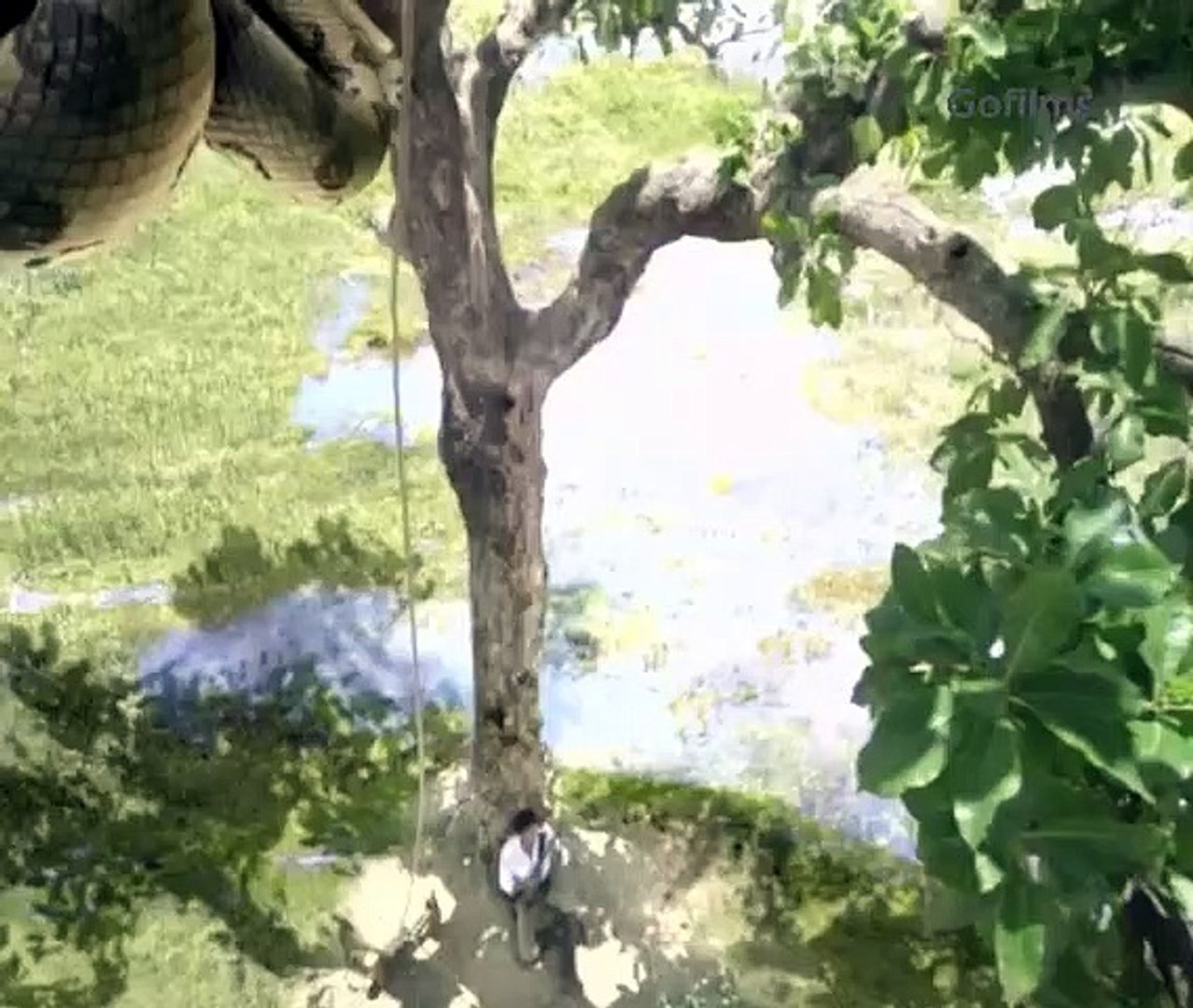 Best Action Movie 2021, action.