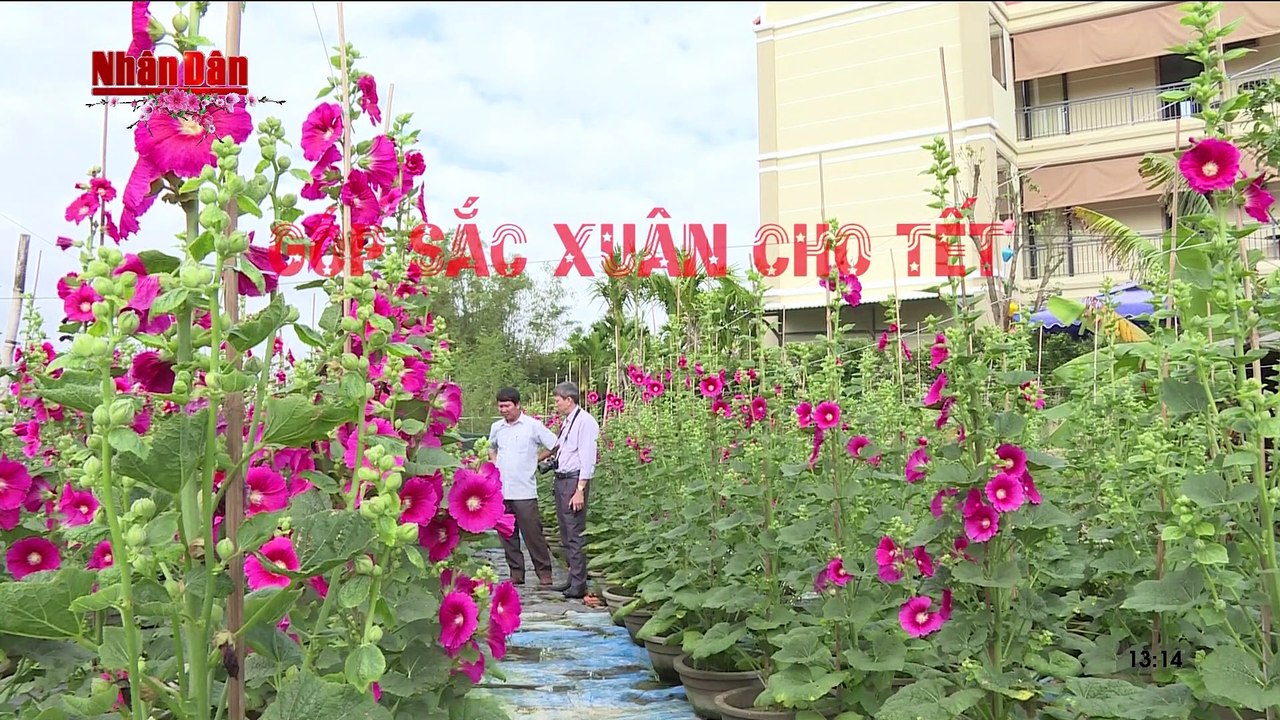 vlc-record-2019-02-04-13h14m26s-NHAN DAN HD-