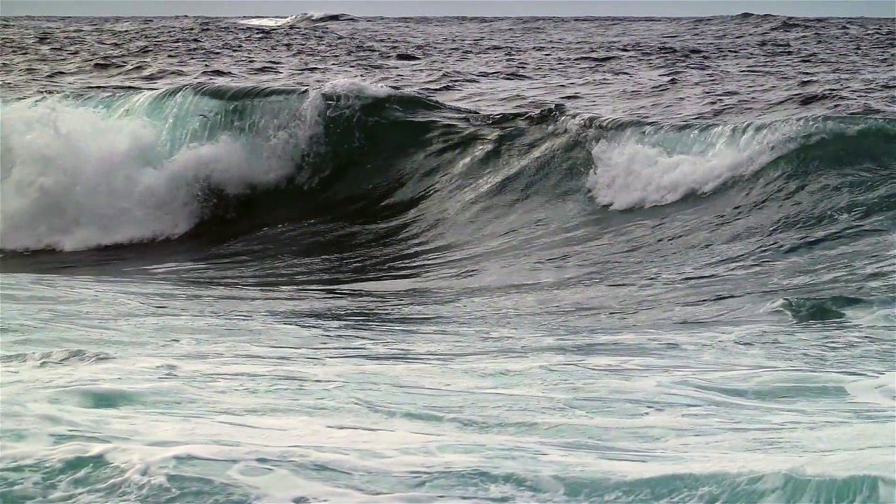 olas