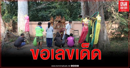 อ่างทอง ชาวบ้านแห่ขอเลขเด็ดต้นตะเคียนคู่อายุกว่า 100 ปี