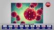 WHO: coronavirus : कोरोना से बचने के लिए WHO की नई गाइडलाइन | 40 से 50 लाख मौतों को जा सकता है टाला