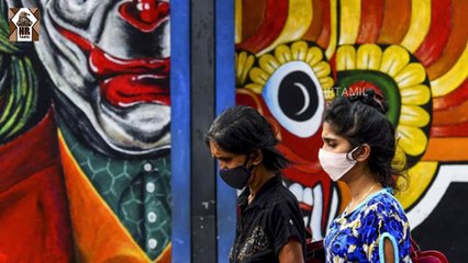 இலங்கையில் நிபா வைரஸ் பரவும் ஆபத்து!