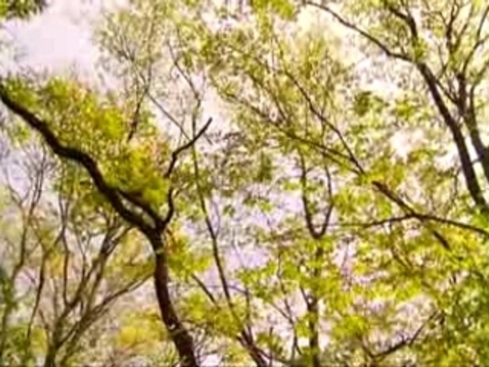 Ai Takahashi - Morning Musume