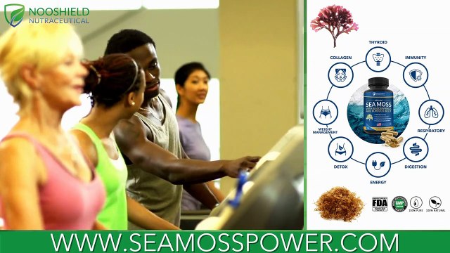 Nooshield Nutraceutical - Sea Moss Health Benefits, Organic Capsules & Pills – Sea Moss Power