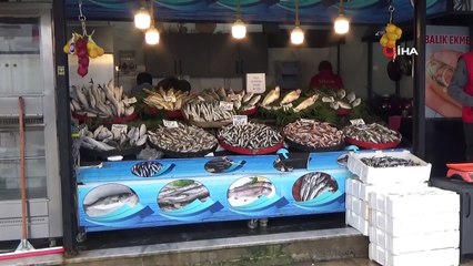 Avlanma yasağı vatandaşların hamsi özlemini arttırdı