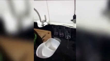 Moradores reclamam da ausência de água em residências no Periolo e Morumbi