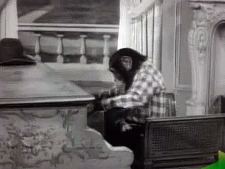 The Beverly Hillbillies Season 2 Episode 16 The Giant Jackrabbit