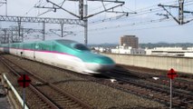 Tohoku-Shinkansen: Japan high-speed trains Hayabusa and Komachi pass Koriyama, trains a grande vitesse 東北新幹線「はやぶさ25」と「こまち25」