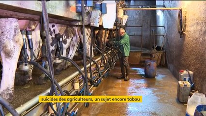 Agriculteurs : les causes d'une détresse poussant parfois jusqu'au suicide