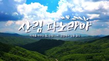 [YTN 특집] 산림 파노라마 / YTN