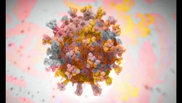 China to donate 1 million doses of corona vaccine to Cambodia چین کمبوڈیا کو کورونا ویکسین کے 10لاکھ ڈوز عطیہ کرےگا Macron expressed his desire to meet Tayyip Erdogan میکرون نے طیب اردوان سے ملاقات کی خواہش کا