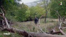 Biodiversité : comment une association transforme un ancien domaine de chasse dans le Vercors en 