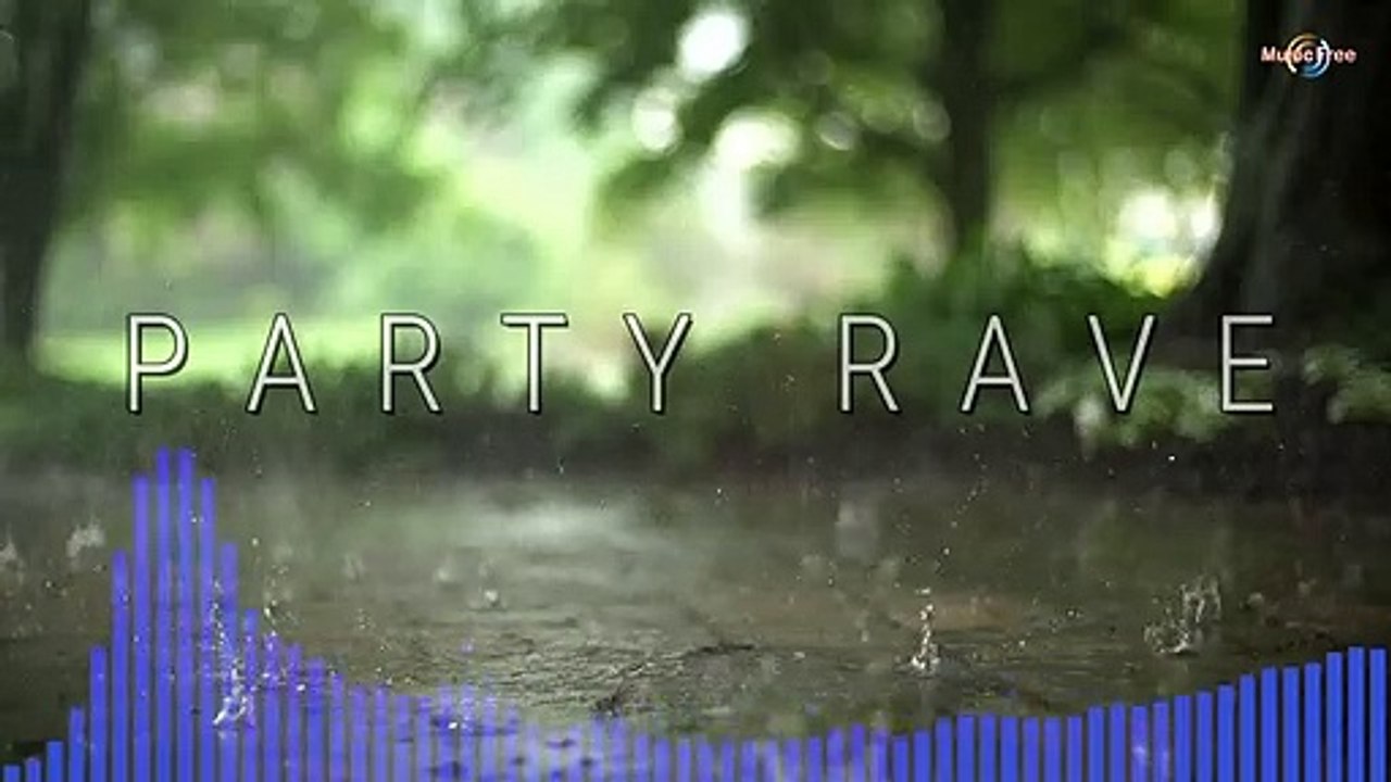 Party Rave Party Music Video Dailymotion