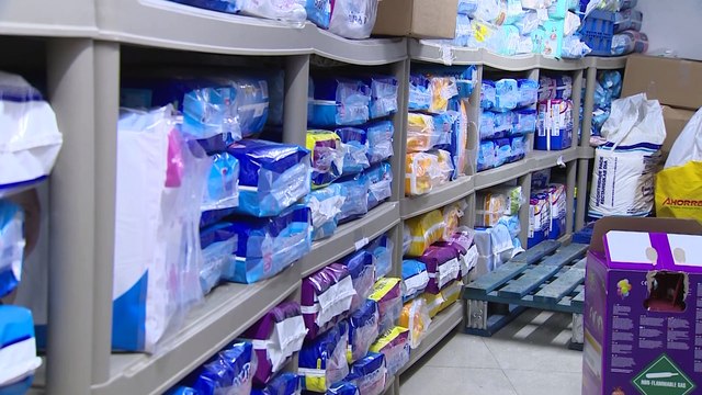 La Fundación Madrina denuncia la situación dramática de la Cañada Real