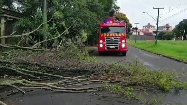 Corpo de Bombeiros é acionado para realizar poda de árvore na Rua Terezina