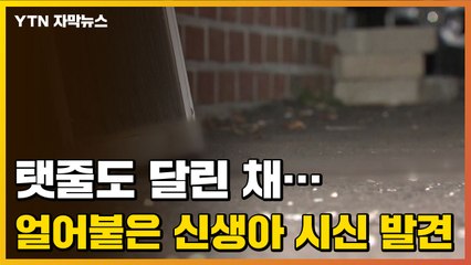 [자막뉴스] 탯줄 달린 상태로...온몸이 얼어붙은 신생아 시신 발견 / YTN