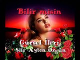 Gürsel İleri - Bilir Misin (Şiir Ayten Özgün)