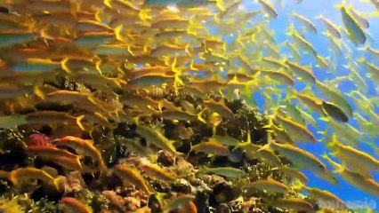 10 Best Places to Visit in Egypt   Travel Video