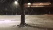 Snow accumulates quickly, melts even quicker in time-lapse from Iowa