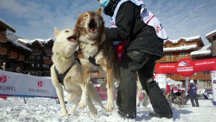 La Grande Odyssée Savoie Mont-Blanc - Les belles images de l’Etape 7 – Samedi 16 janvier – Valmorel