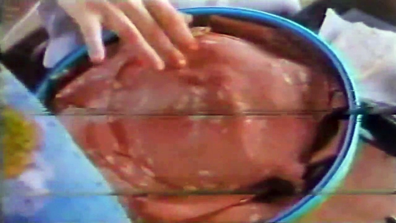 Mortadela Sadia 1990