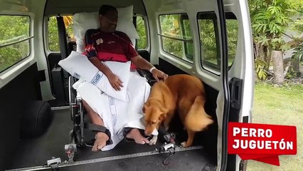 Cómo los Animales Se Despiden de Su Dueño a Punto de Morir