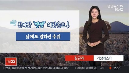 [날씨] 매서운 추위 속 내일까지 중부 15cm 많은 눈