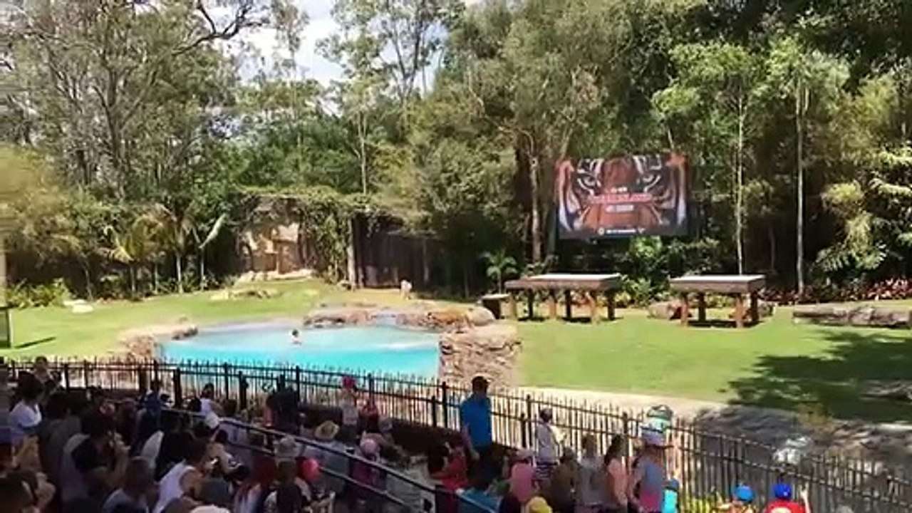 7_Most_Dangerous_and_Strange_Swimming_Pools_in_the_World_In_Hindi_Urdu___Swimming_Pools___pool(360p)