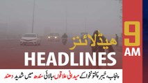 ARYNews Headlines | 9 AM | 17th January 2021